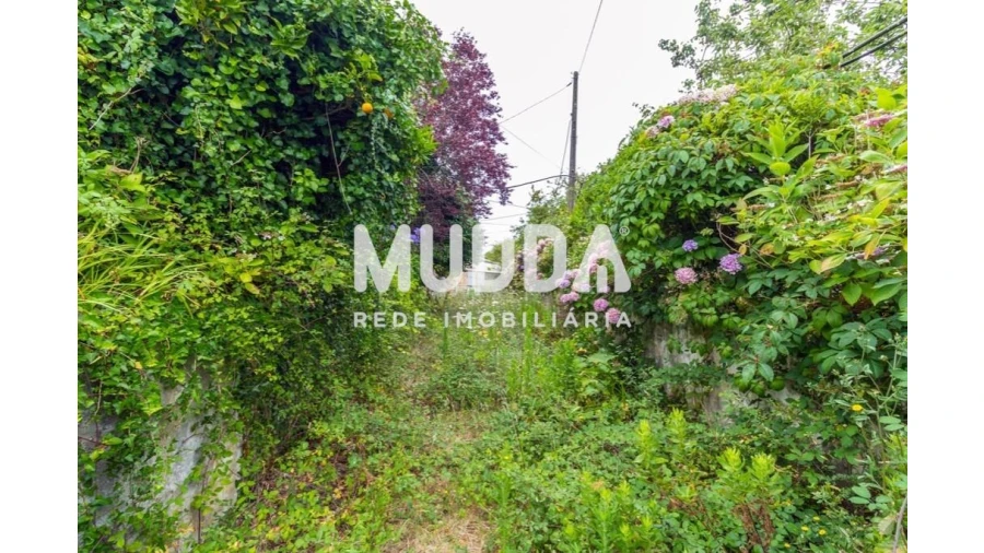 Moradia T4 para Venda em Maceda Foto 17