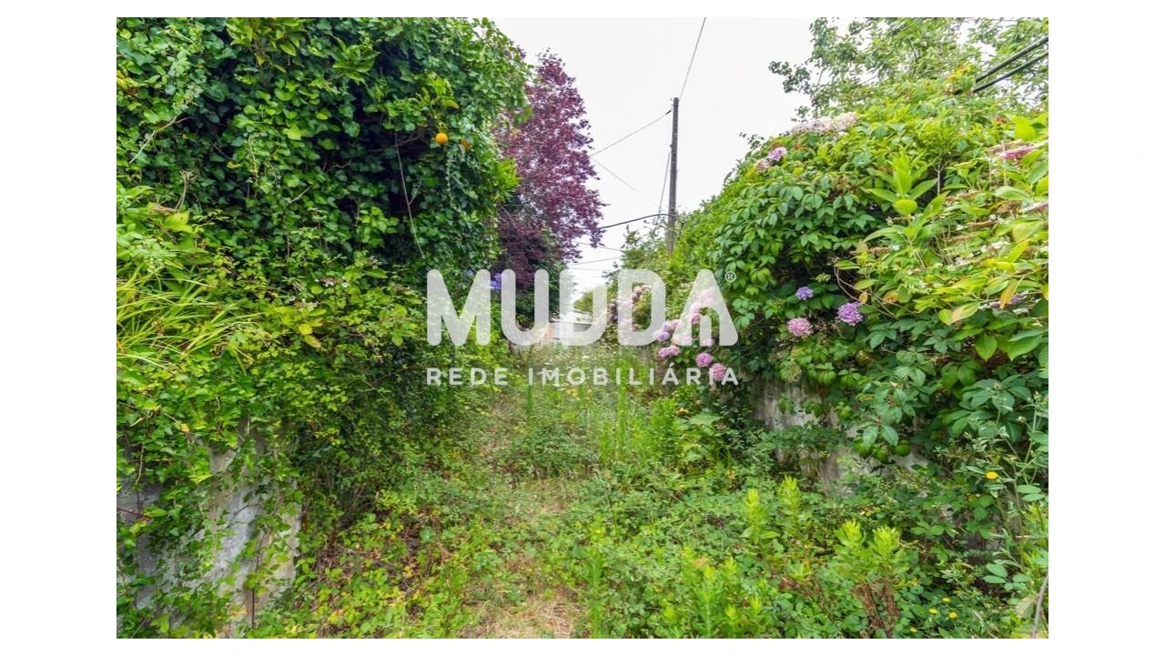 Moradia T4 para Venda em Maceda Foto 17