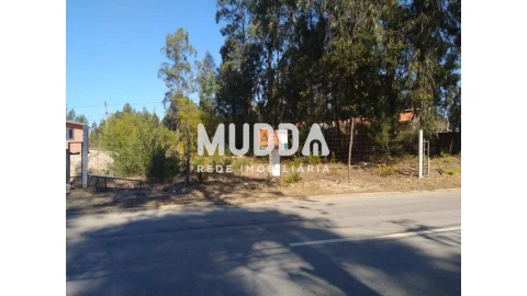 Terreno para Venda em Valega