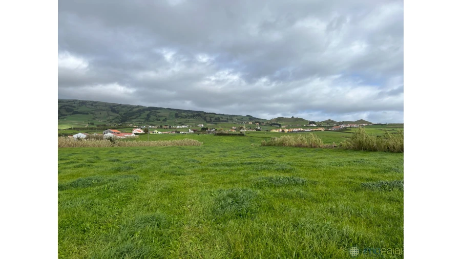 Terreno para Venda em Feteira