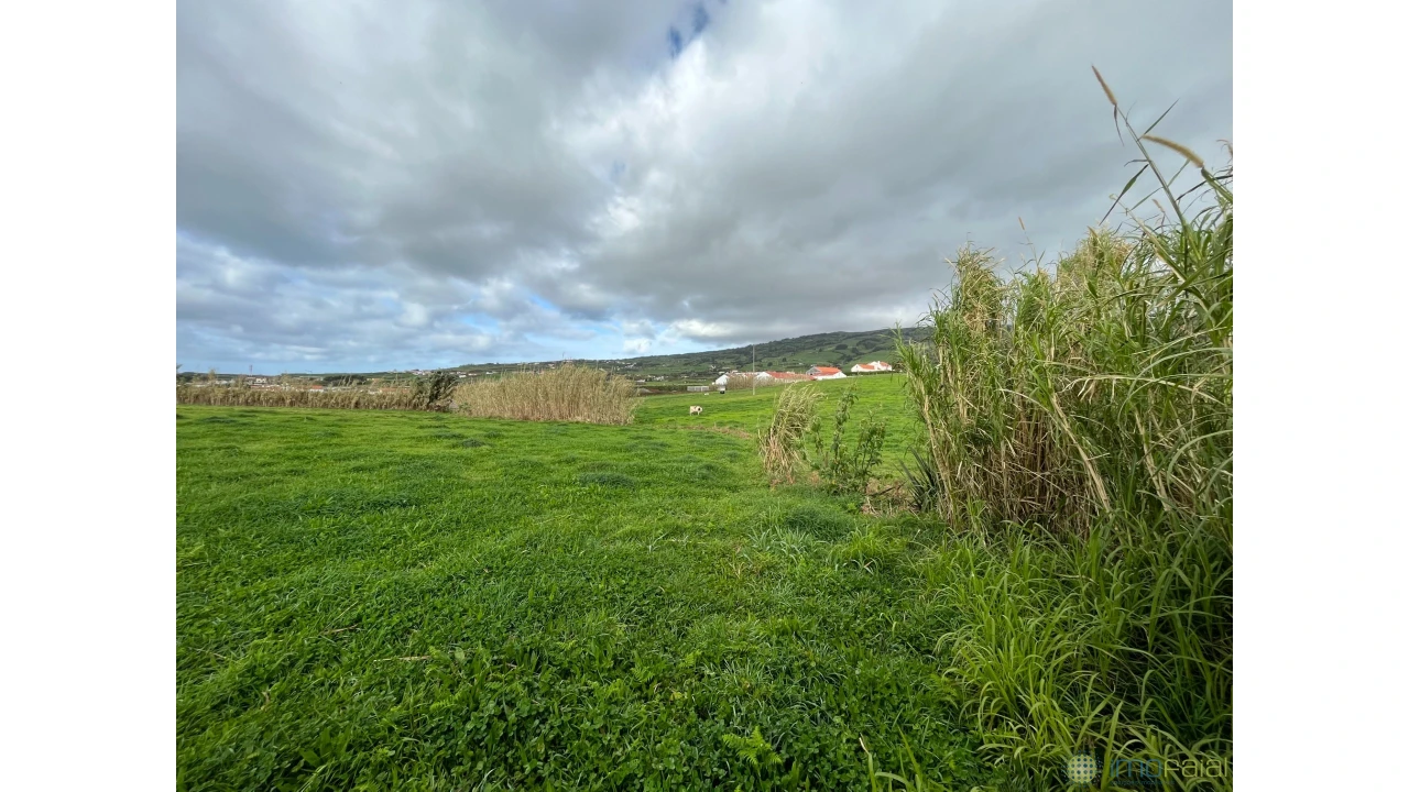 Terreno para Venda em Feteira Foto 4