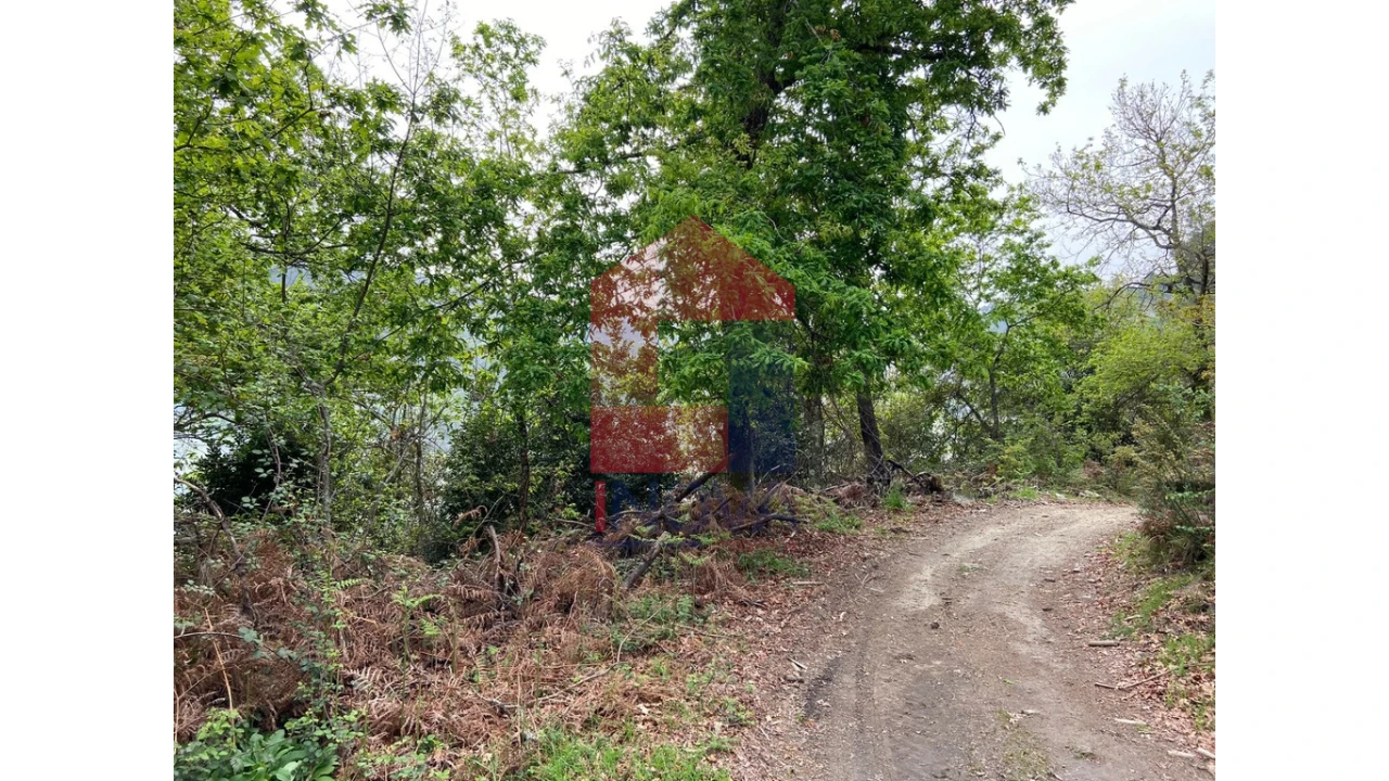 Terreno para Venda em Valbom (São Pedro), Passô e Valbom (São Martinho) Foto 1