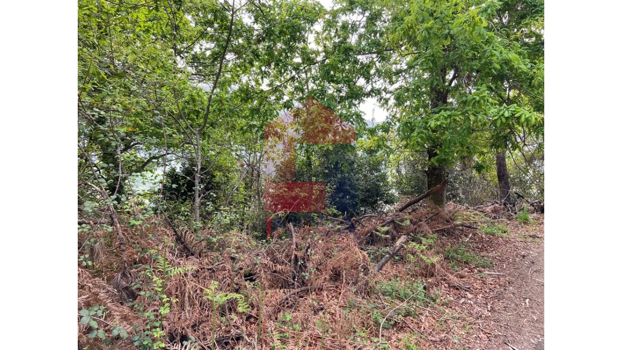 Terreno para Venda em Valbom (São Pedro), Passô e Valbom (São Martinho) Foto 6