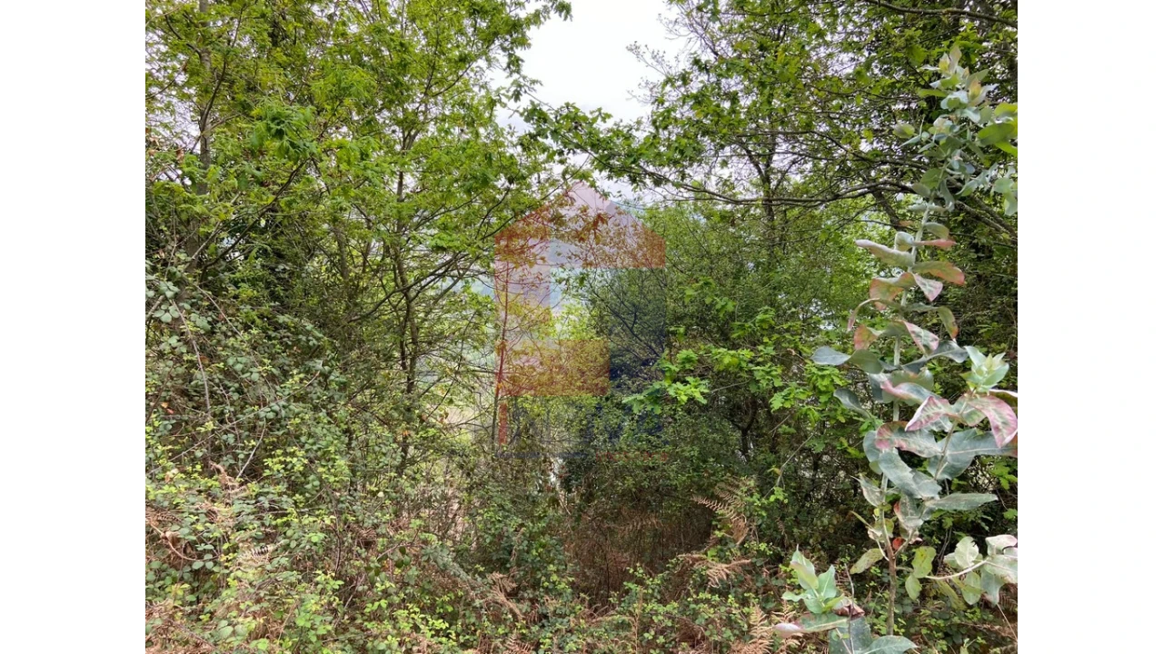 Terreno para Venda em Valbom (São Pedro), Passô e Valbom (São Martinho) Foto 10