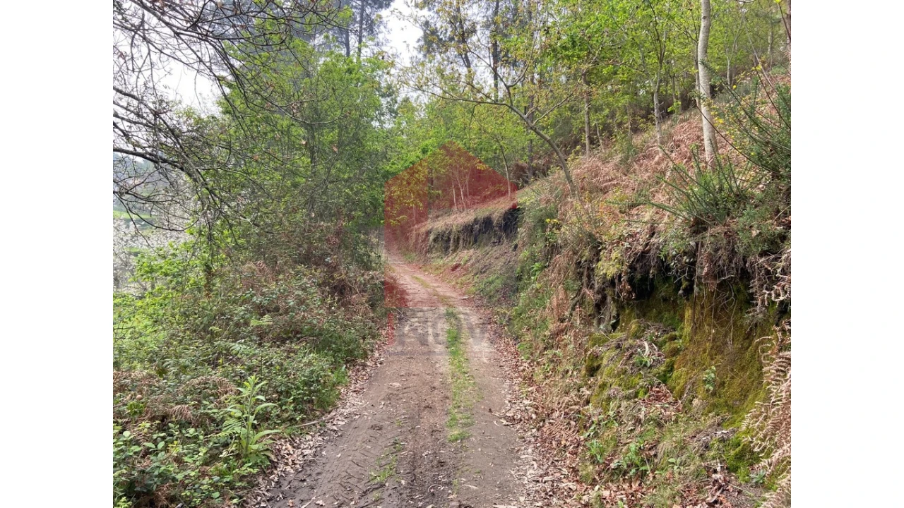 Terreno para Venda em Valbom (São Pedro), Passô e Valbom (São Martinho) Foto 8
