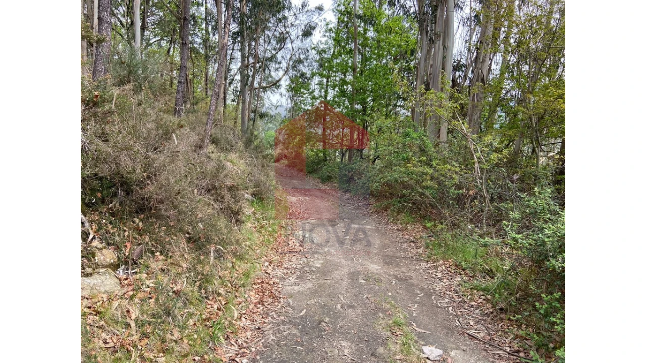 Terreno para Venda em Valbom (São Pedro), Passô e Valbom (São Martinho) Foto 12