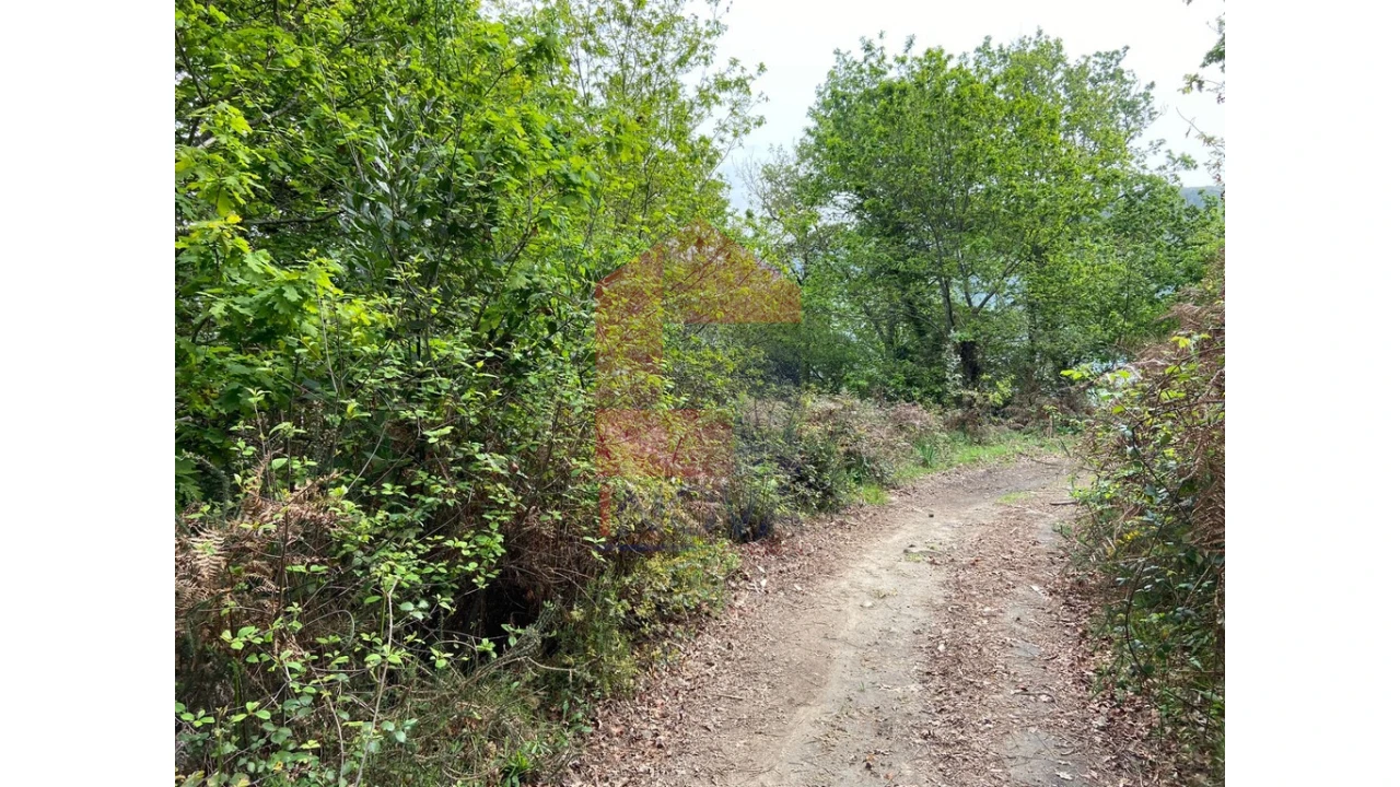 Terreno para Venda em Valbom (São Pedro), Passô e Valbom (São Martinho) Foto 13