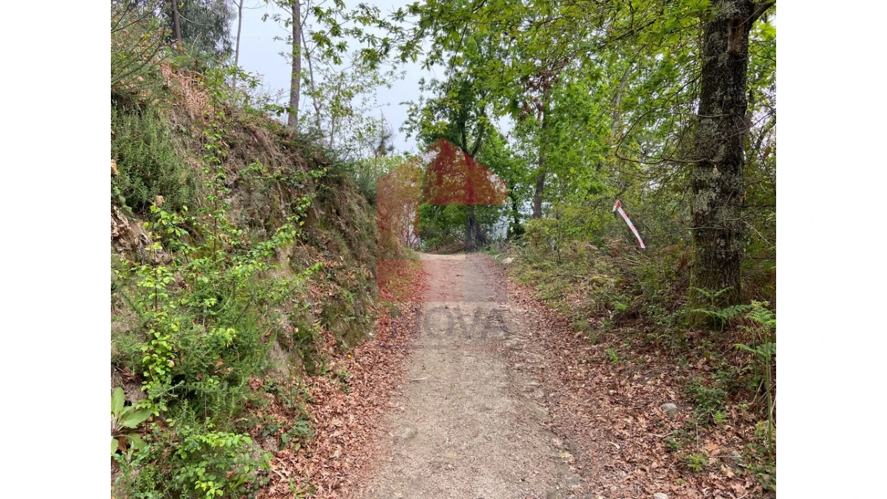 Terreno para Venda em Valbom (São Pedro), Passô e Valbom (São Martinho) Foto 9