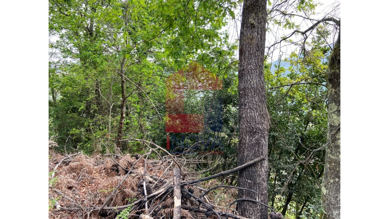 Terreno para Venda em Valbom (São Pedro), Passô e Valbom (São Martinho) Foto 3