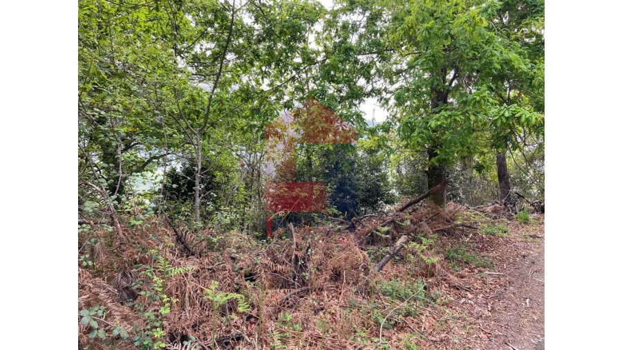 Terreno para Venda em Valbom (São Pedro), Passô e Valbom (São Martinho) Foto 6