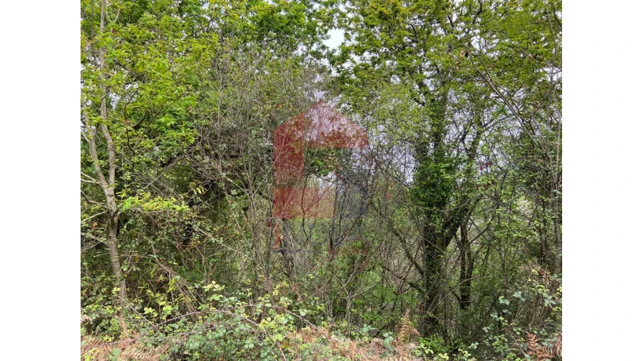 Terreno para Venda em Valbom (São Pedro), Passô e Valbom (São Martinho) Foto 11