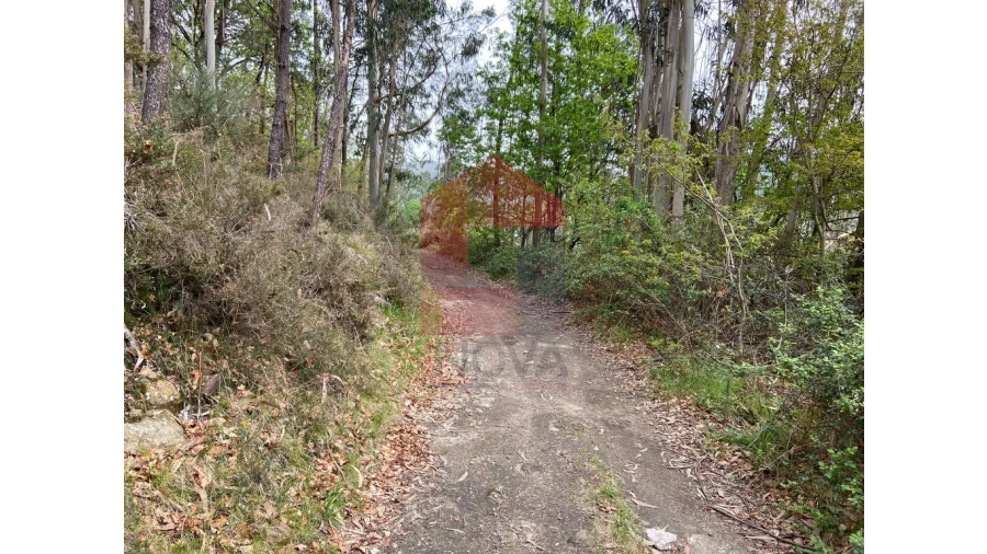 Terreno para Venda em Valbom (São Pedro), Passô e Valbom (São Martinho) Foto 12