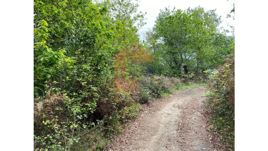 Terreno para Venda em Valbom (São Pedro), Passô e Valbom (São Martinho) Foto 13