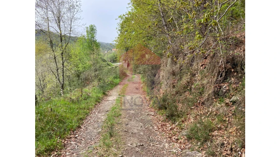 Terreno para Venda em Valbom (São Pedro), Passô e Valbom (São Martinho) Foto 15