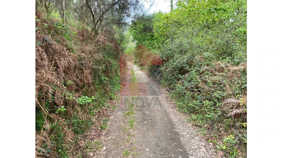 Terreno para Venda em Valbom (São Pedro), Passô e Valbom (São Martinho) Foto 14