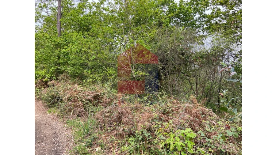 Terreno para Venda em Valbom (São Pedro), Passô e Valbom (São Martinho) Foto 7