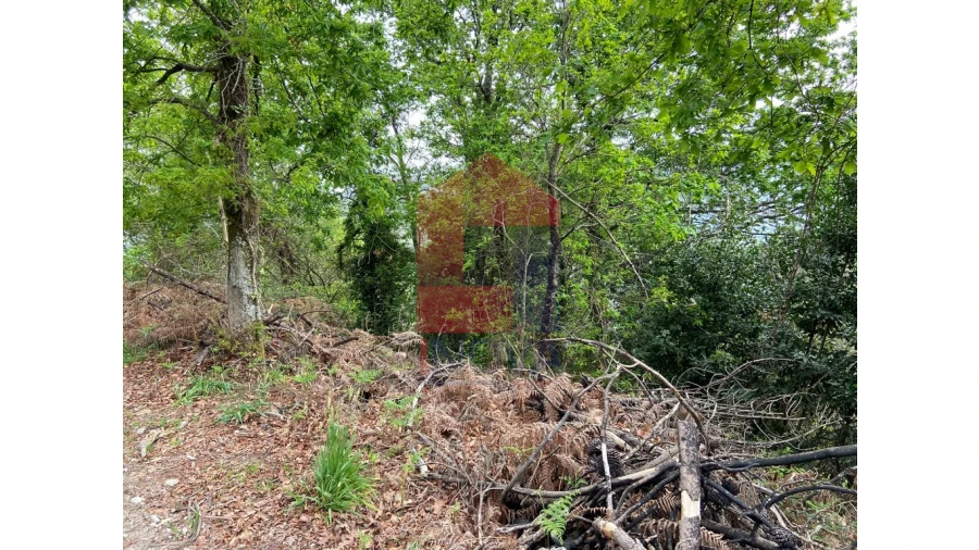 Terreno para Venda em Valbom (São Pedro), Passô e Valbom (São Martinho) Foto 2