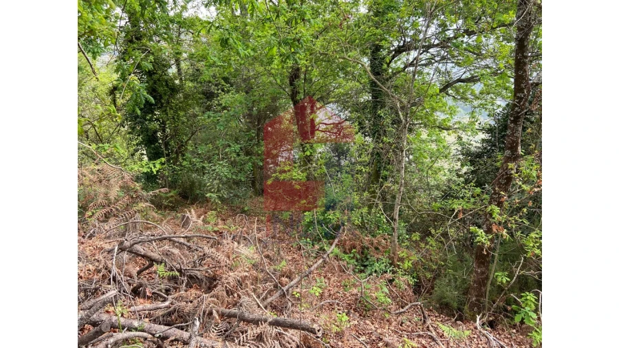 Terreno para Venda em Valbom (São Pedro), Passô e Valbom (São Martinho) Foto 4