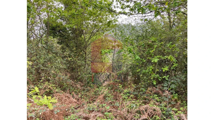 Terreno para Venda em Valbom (São Pedro), Passô e Valbom (São Martinho) Foto 5
