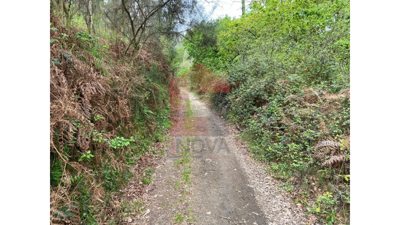 Terreno para Venda em Valbom (São Pedro), Passô e Valbom (São Martinho) Foto 14