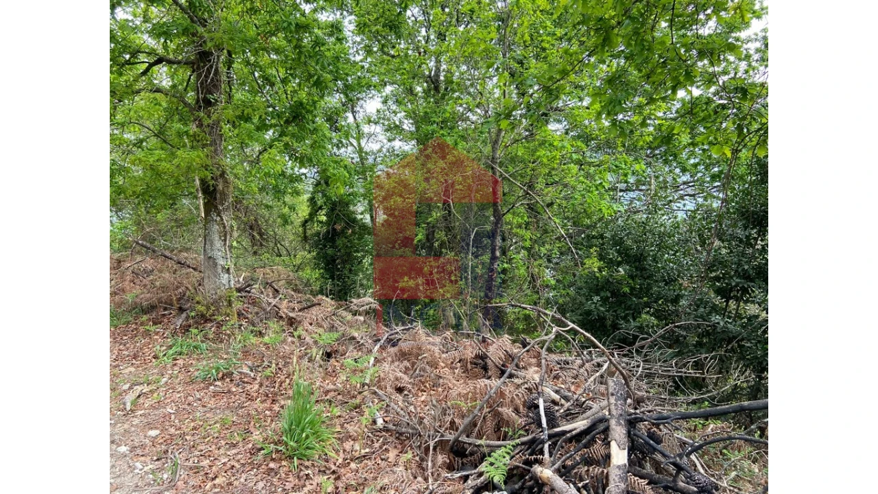 Terreno para Venda em Valbom (São Pedro), Passô e Valbom (São Martinho) Foto 2