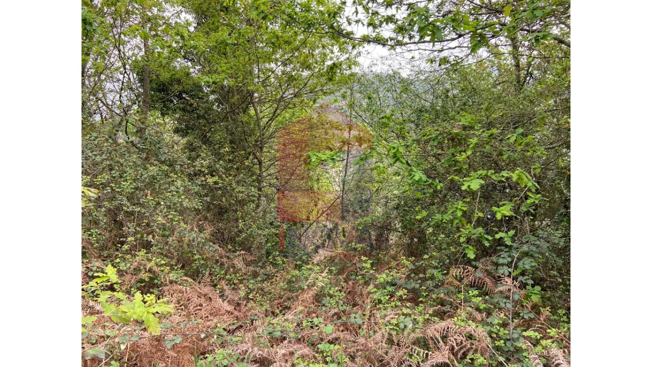 Terreno para Venda em Valbom (São Pedro), Passô e Valbom (São Martinho) Foto 5