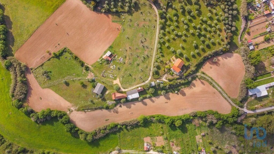 Moradia T6 para Venda em Alcanena e Vila Moreira Foto 3