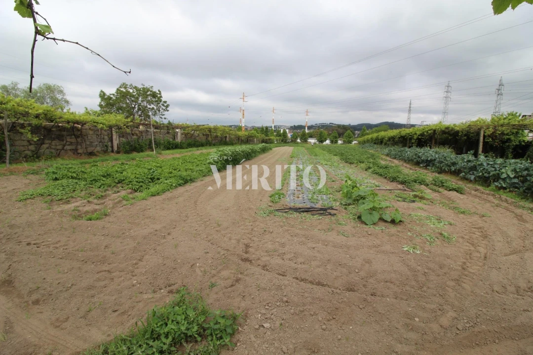 Terreno para Venda em Aguas Santas Foto 2