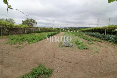 Terreno para Venda em Aguas Santas