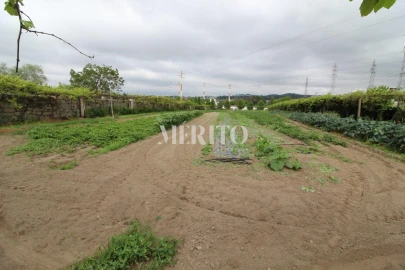 Terreno para Venda em Aguas Santas