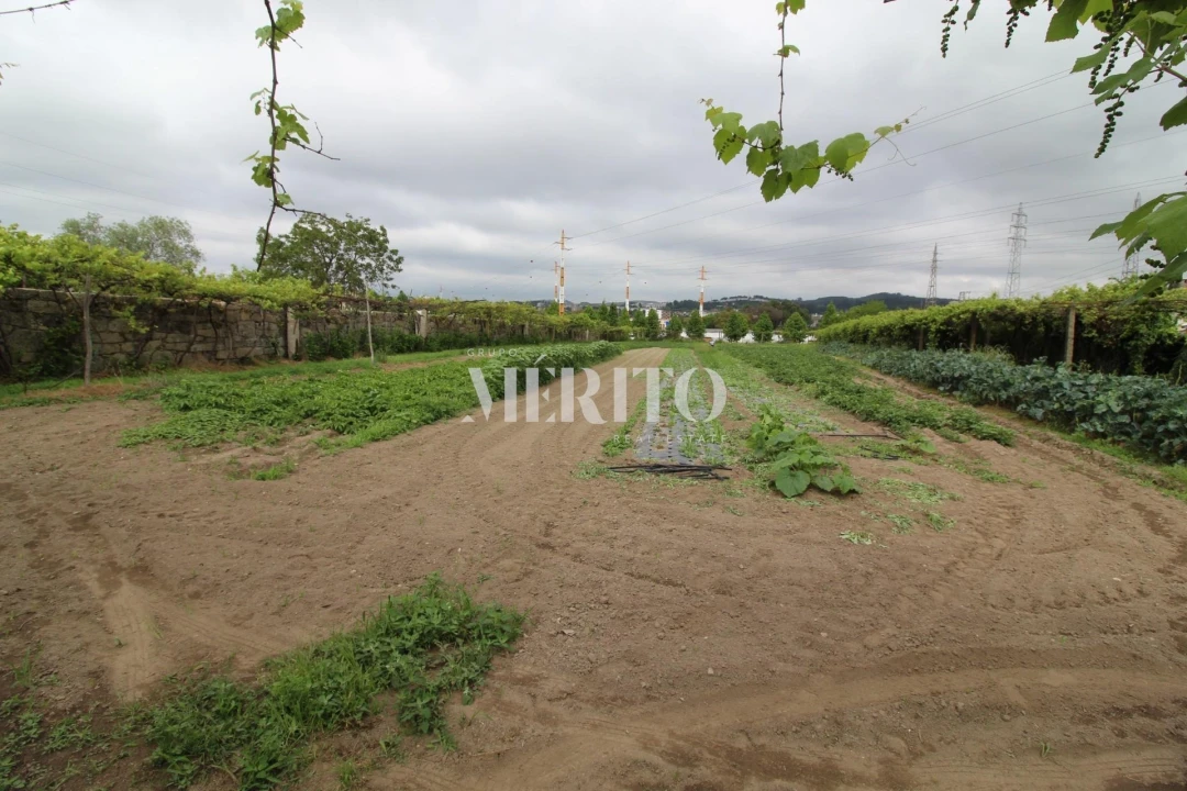 Terreno para Venda em Aguas Santas Foto 1