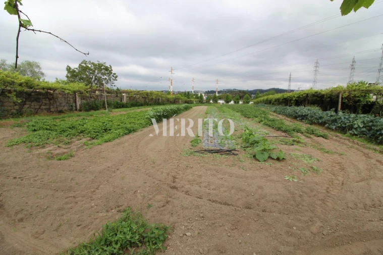 Terreno para Venda em Aguas Santas Foto 3