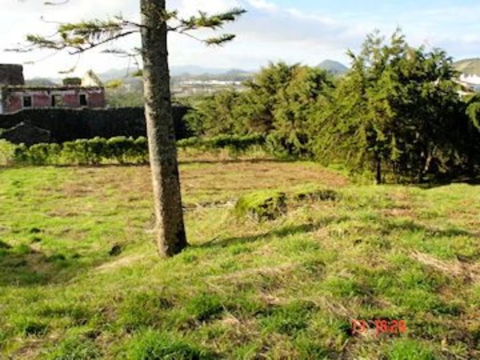 Terreno para Venda em Lagoa (Nossa Senhora do Rosario) Foto 6
