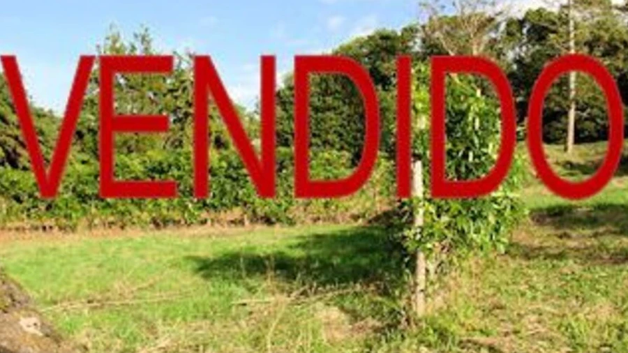 Terreno para Venda em Lagoa (Nossa Senhora do Rosario)