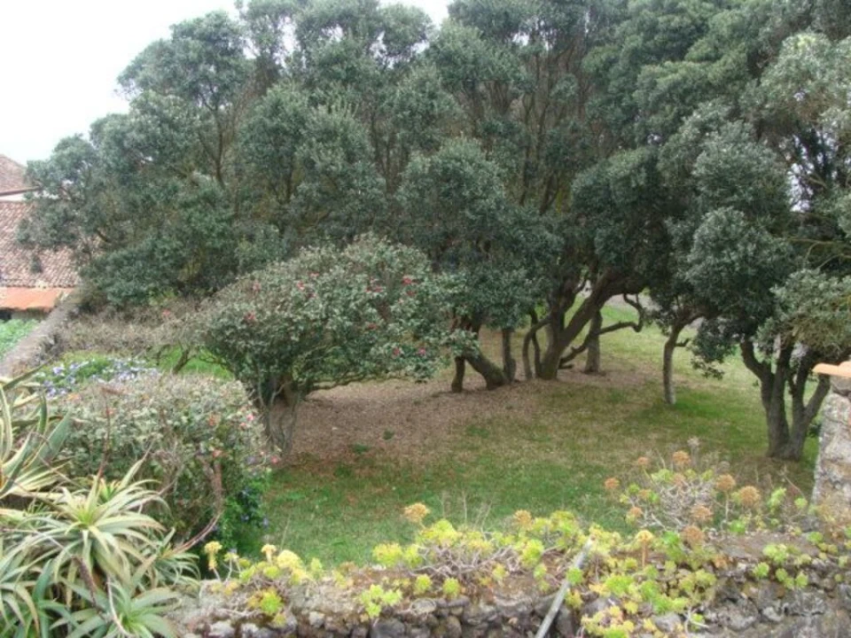 Moradia para Venda em Calhetas Foto 25