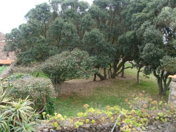 Moradia para Venda em Calhetas Foto 25