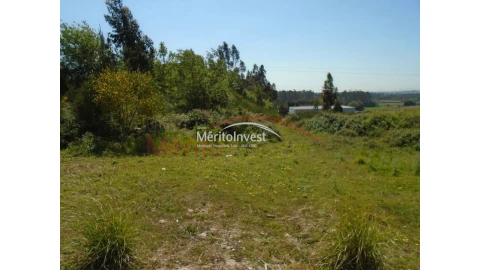 Terreno para Venda em Bougado (São Martinho e Santiago)