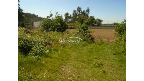 Terreno para Venda em Bougado (São Martinho e Santiago)