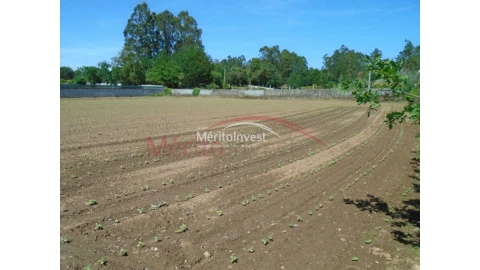 Terreno para Venda em Bougado (São Martinho e Santiago)