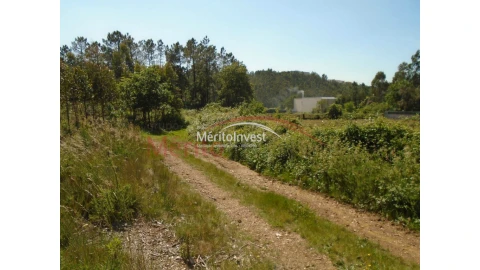 Terreno para Venda em Bougado (São Martinho e Santiago)