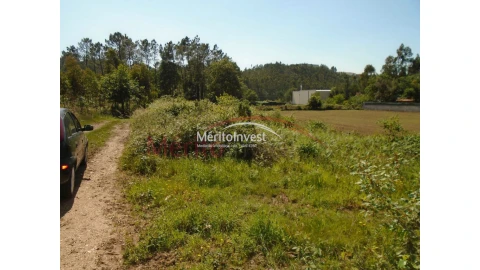 Terreno para Venda em Bougado (São Martinho e Santiago)