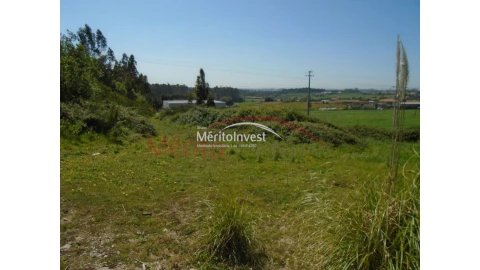 Terreno para Venda em Bougado (São Martinho e Santiago)