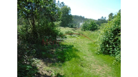 Terreno para Venda em Bougado (São Martinho e Santiago)