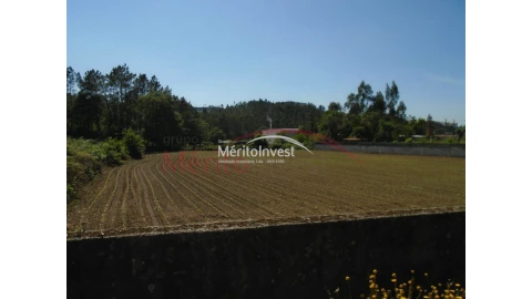 Terreno para Venda em Bougado (São Martinho e Santiago)