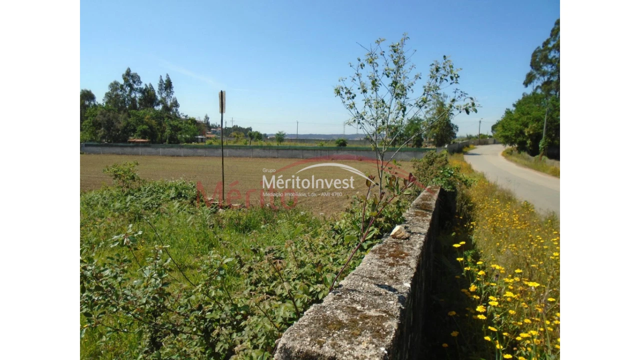 Terreno para Venda em Bougado (São Martinho e Santiago) Foto 5