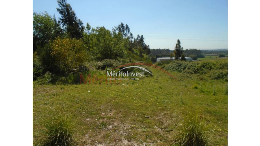 Terreno para Venda em Bougado (São Martinho e Santiago) Foto 4