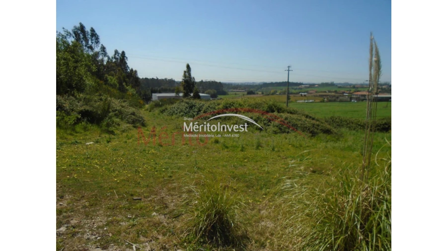 Terreno para Venda em Bougado (São Martinho e Santiago) Foto 2