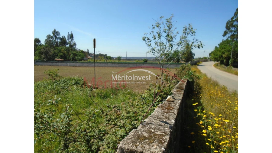 Terreno para Venda em Bougado (São Martinho e Santiago) Foto 5