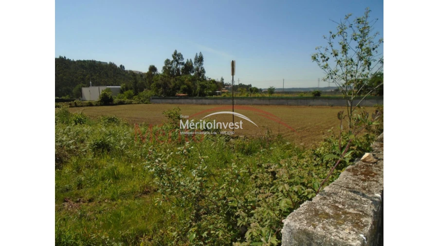 Terreno para Venda em Bougado (São Martinho e Santiago) Foto 6