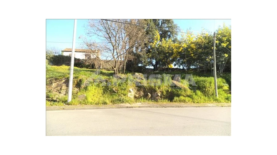 Terreno para Venda em Castelo Branco